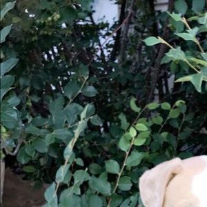 Meet your Posher, Hadly